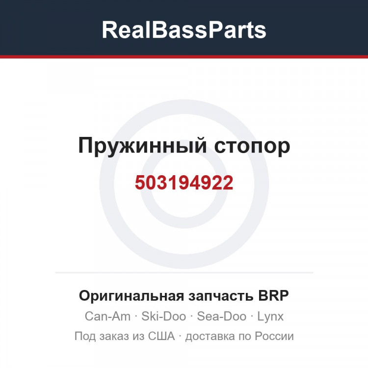 503194922 Пружинный стопор