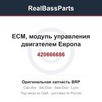 420666686 ECM, модуль управления двигателем Европа