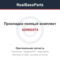 420892474 Прокладки полный комплект