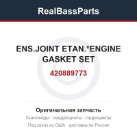 420889773 ENS.JOINT ETAN.*ENGINE GASKET SET