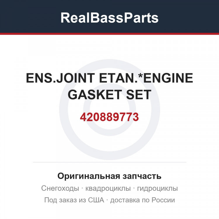 420889773 ENS.JOINT ETAN.*ENGINE GASKET SET