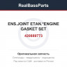 420889773 ENS.JOINT ETAN.*ENGINE GASKET SET
