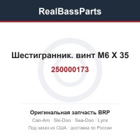 250000173 Шестигранник. винт M6 X 35