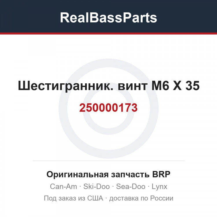 250000173 Шестигранник. винт M6 X 35