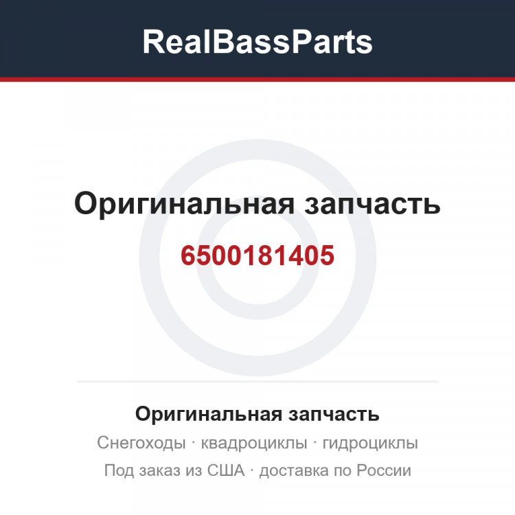 6500181405