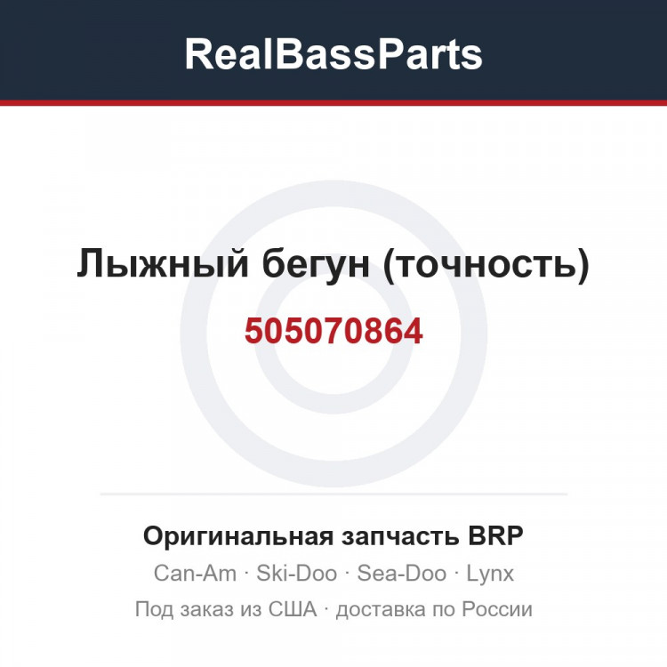 505070864 Лыжный бегун (точность)