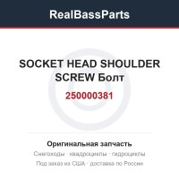 250000381 SOCKET HEAD SHOULDER SCREW Болт