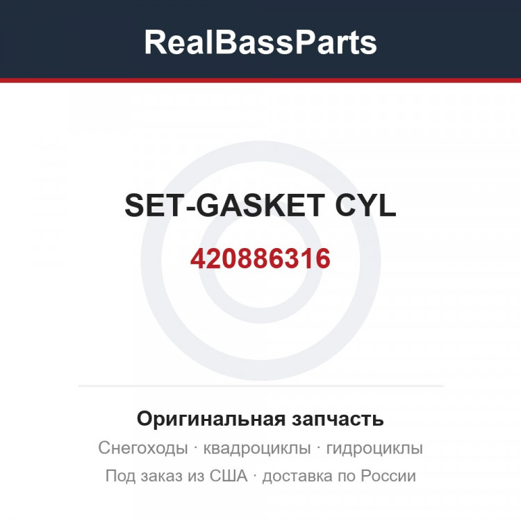 420886316 SET-GASKET CYL