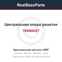 705800427 Центральная опора решетки