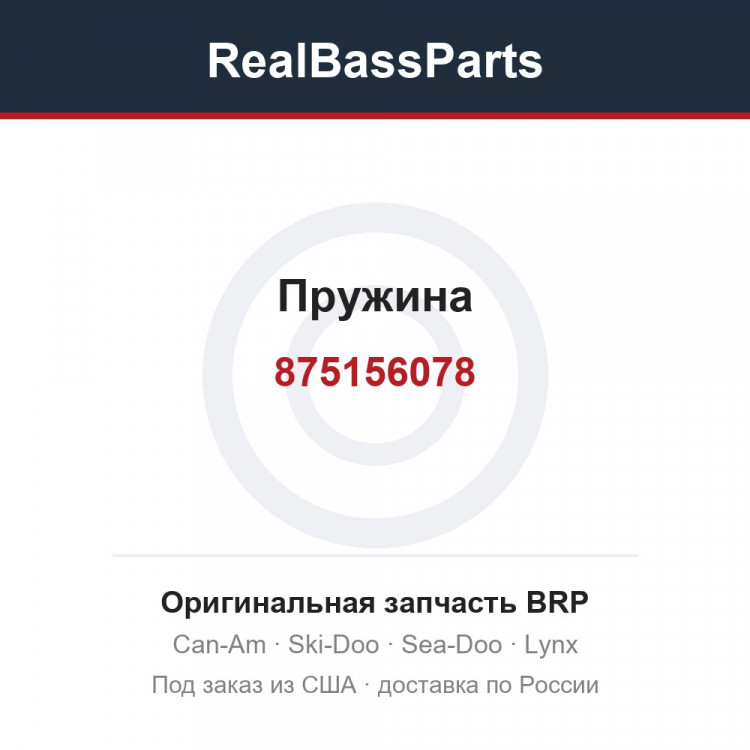 875156078 Пружина