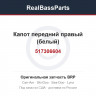 517306604 Капот передний правый (белый)