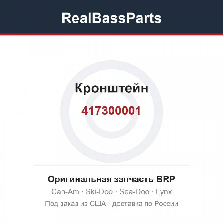 417300001 Кронштейн