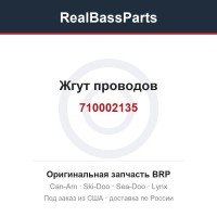 710002135 Жгут проводов