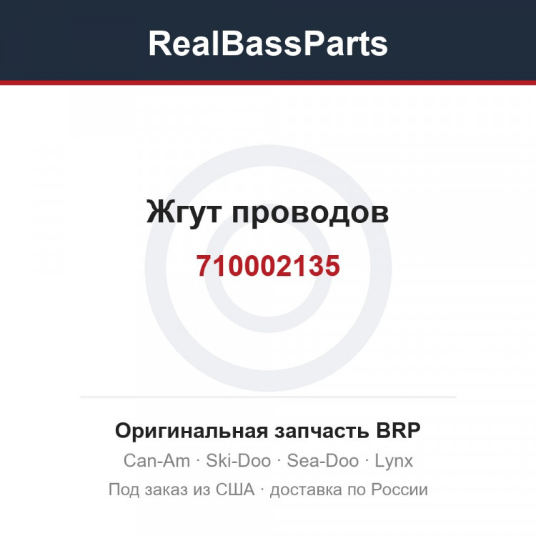 710002135 Жгут проводов