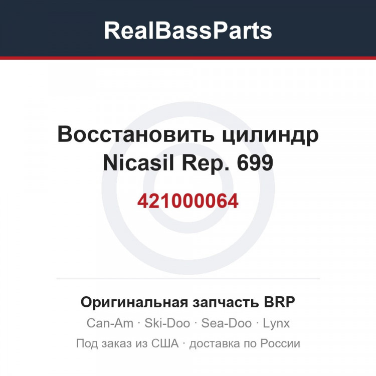 421000064 Восстановить цилиндр Nicasil Rep. 699