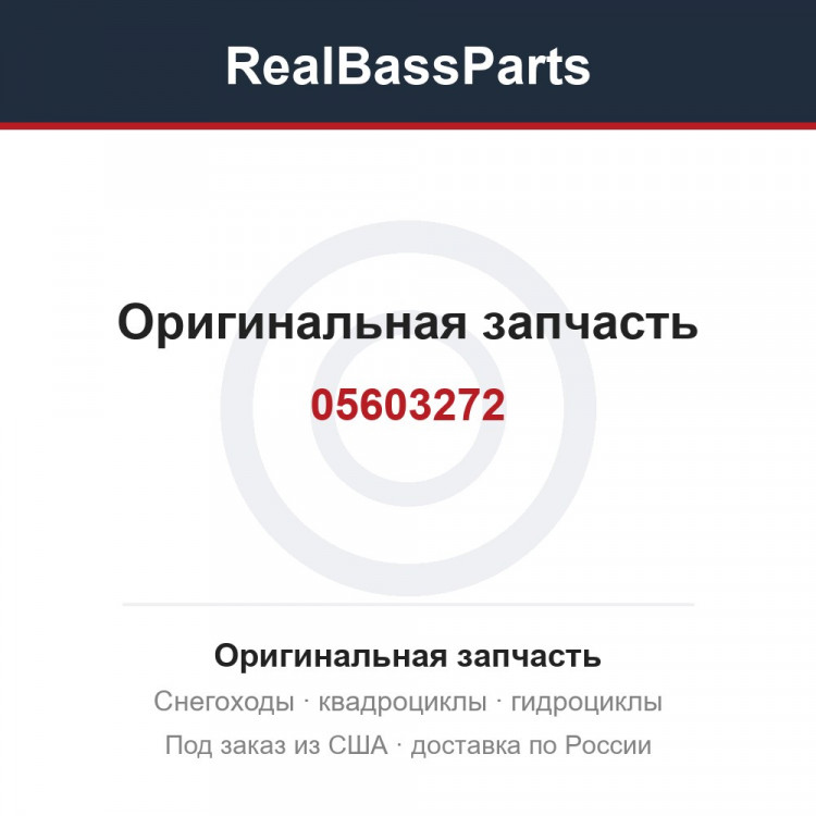 05603272