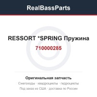 710000285 RESSORT        *SPRING  Пружина