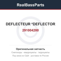291004280 DEFLECTEUR     *DEFLECTOR
