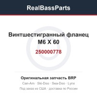 250000778 Винтшестигранный фланец M6 X 60