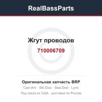 710006709 Жгут проводов