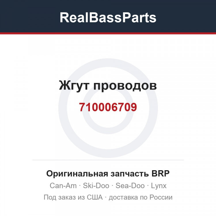 710006709 Жгут проводов