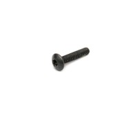 250000398 TORX-TRUSS M/S STLSS NYLON PATCH  Болт M6 X 30