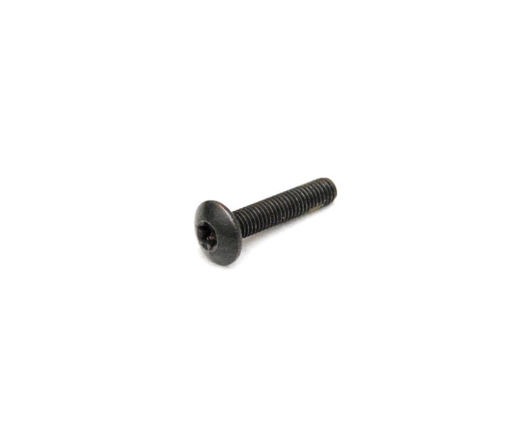 250000398 TORX-TRUSS M/S STLSS NYLON PATCH  Болт M6 X 30