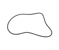 420950320 Кольцо (O-RING) 290950320