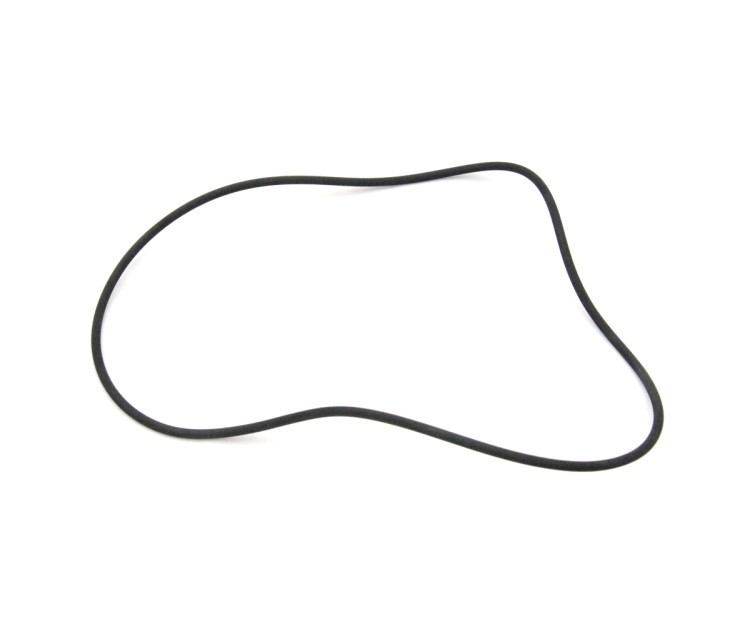 420950320 Кольцо (O-RING) 290950320