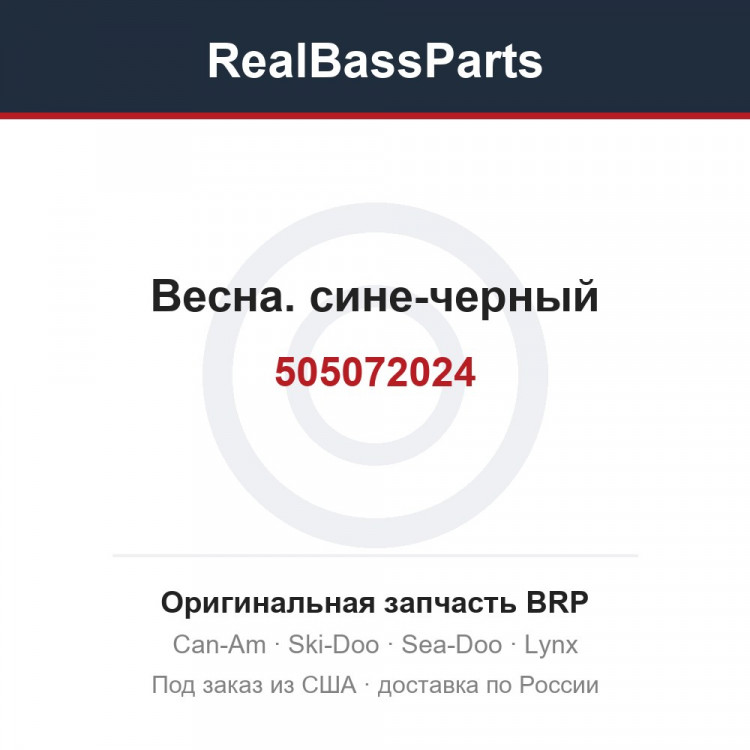 505072024 Весна. сине-черный