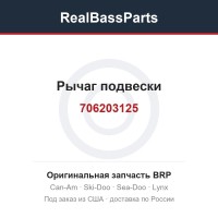 706203125 Рычаг подвески