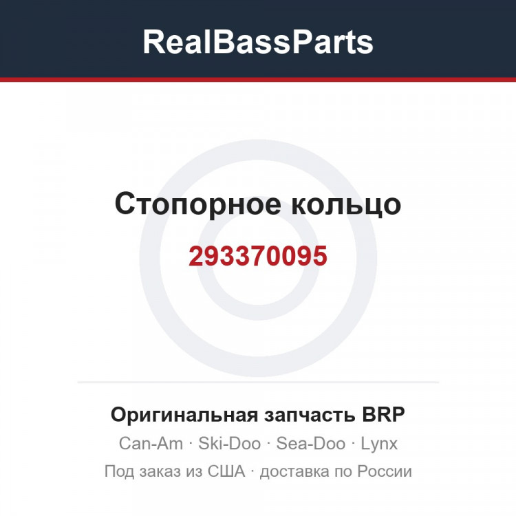 293370095 Стопорное кольцо