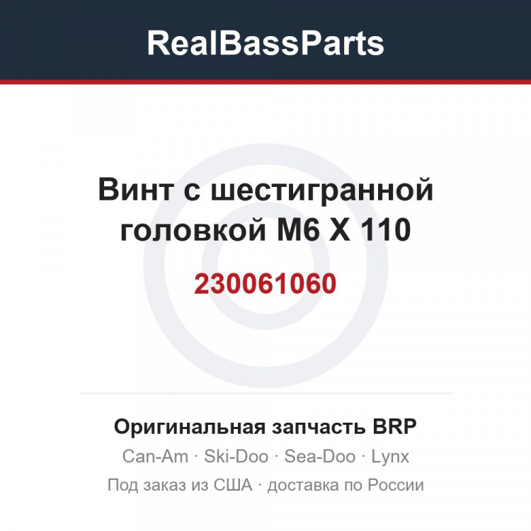 230061060 Винт с шестигранной головкой M6 X 110