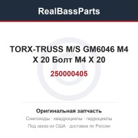 250000405 TORX-TRUSS M/S GM6046 M4 X 20  Болт M4 X 20