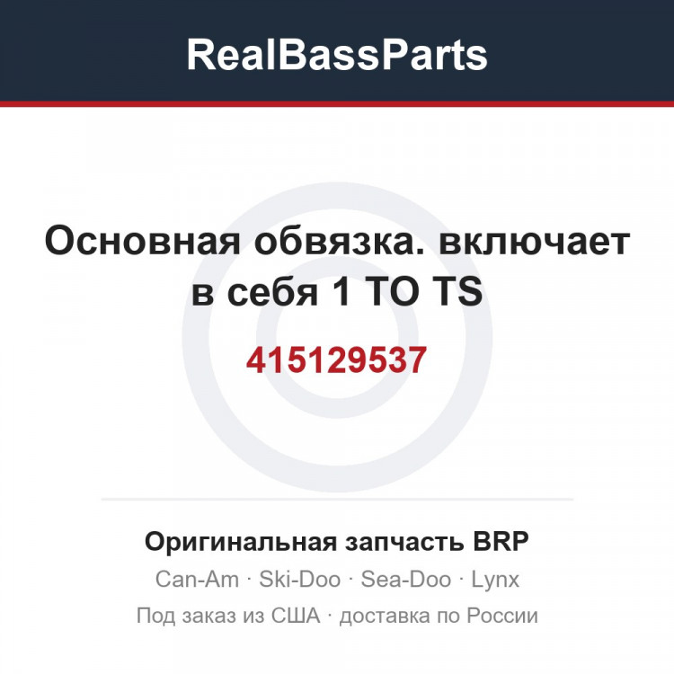 415129537 Основная обвязка. включает в себя 1 TO TS
