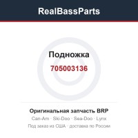 705003136 Подножка