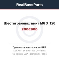 230062060 Шестигранник. винт M6 X 120