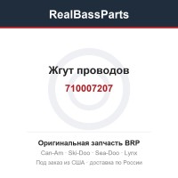 710007207 Жгут проводов