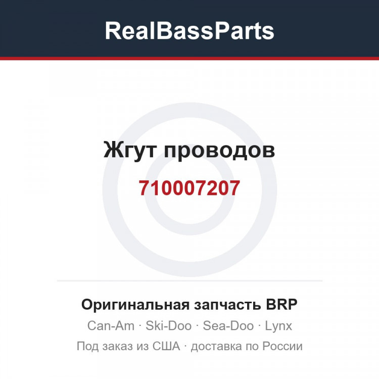 710007207 Жгут проводов