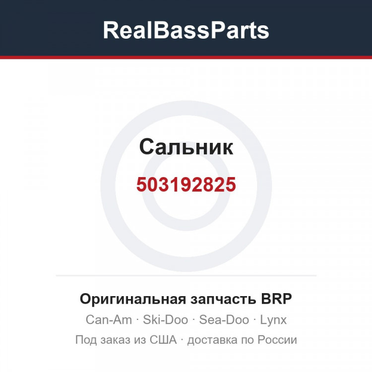 503192825 Сальник
