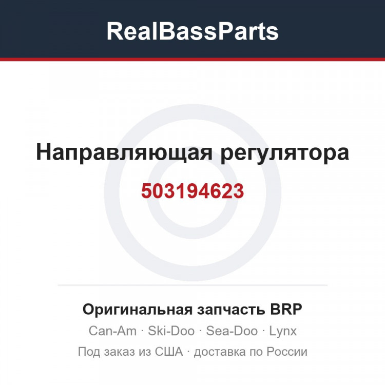 503194623 Направляющая регулятора