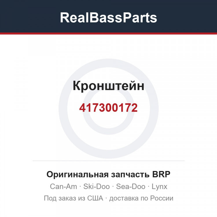 417300172 Кронштейн