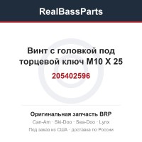 205402596 Винт с головкой под торцевой ключ M10 X 25