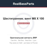 230080060 Шестигранник. винт M8 X 100