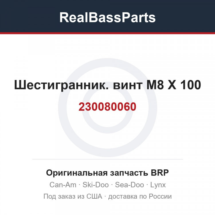 230080060 Шестигранник. винт M8 X 100