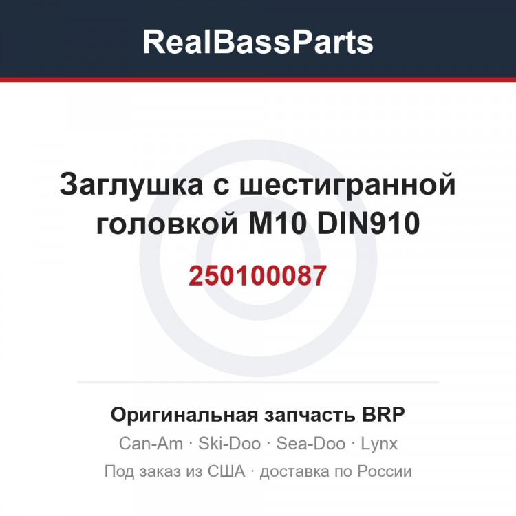 250100087 Заглушка с шестигранной головкой M10 DIN910