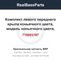 715003197 Комплект левого переднего крыла коньячного цвета, модель коньячного цвета, кроме Северной Америки