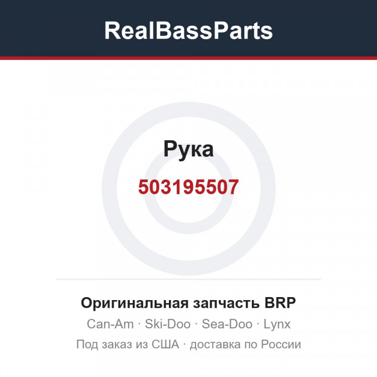 503195507 Рука