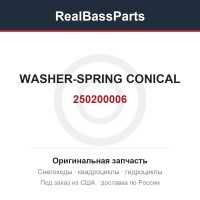 250200006 WASHER-SPRING CONICAL