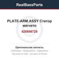 420886725 PLATE-ARM.ASSY  Статор магнето